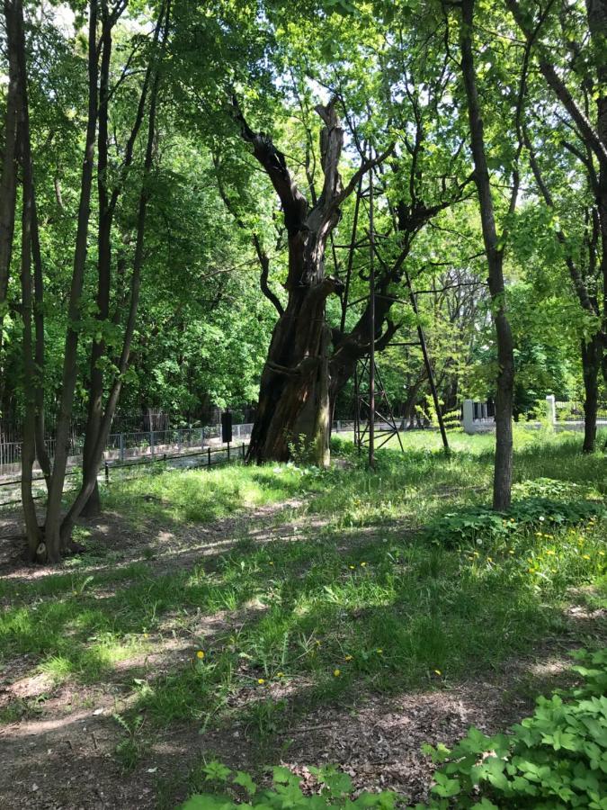 Warsaw-Aparts Ursynow Natolin Kültér fotó